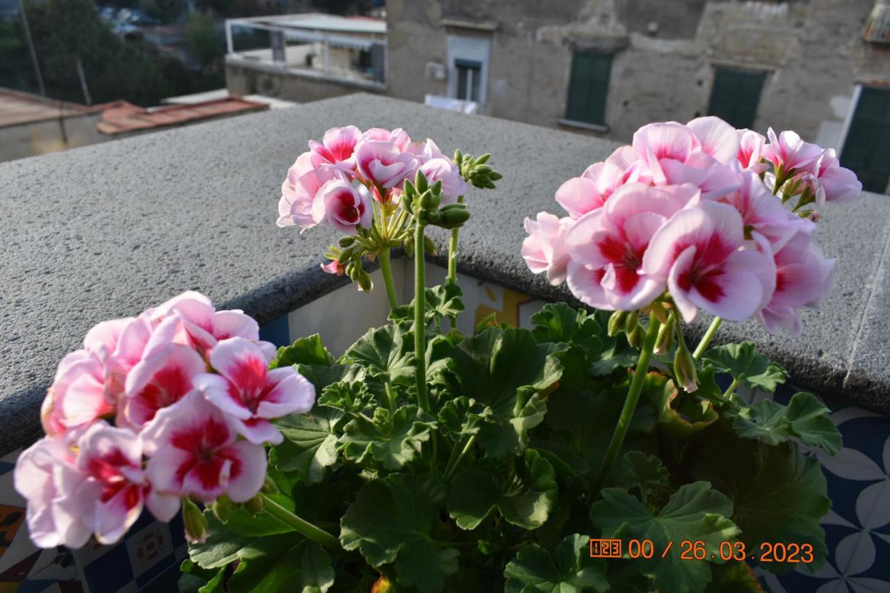 Appartement Casa Materdei à Naples Extérieur photo